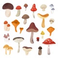 Autumn Hand Drawn Big Vector Set Of Various Types Of Mushrooms. Colored Trendy Edible Forest Food Illustration With Texture. Perfe